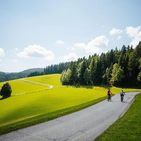 Hotel Stift St. Georgen Am Laengsee 4*