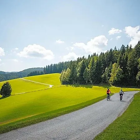 Stift St. Georgen Am Laengsee Ξενοδοχείο