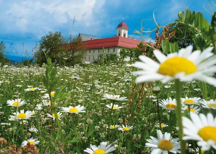מלון Stift St. Georgen Am Laengsee Sankt Georgen am Längsee